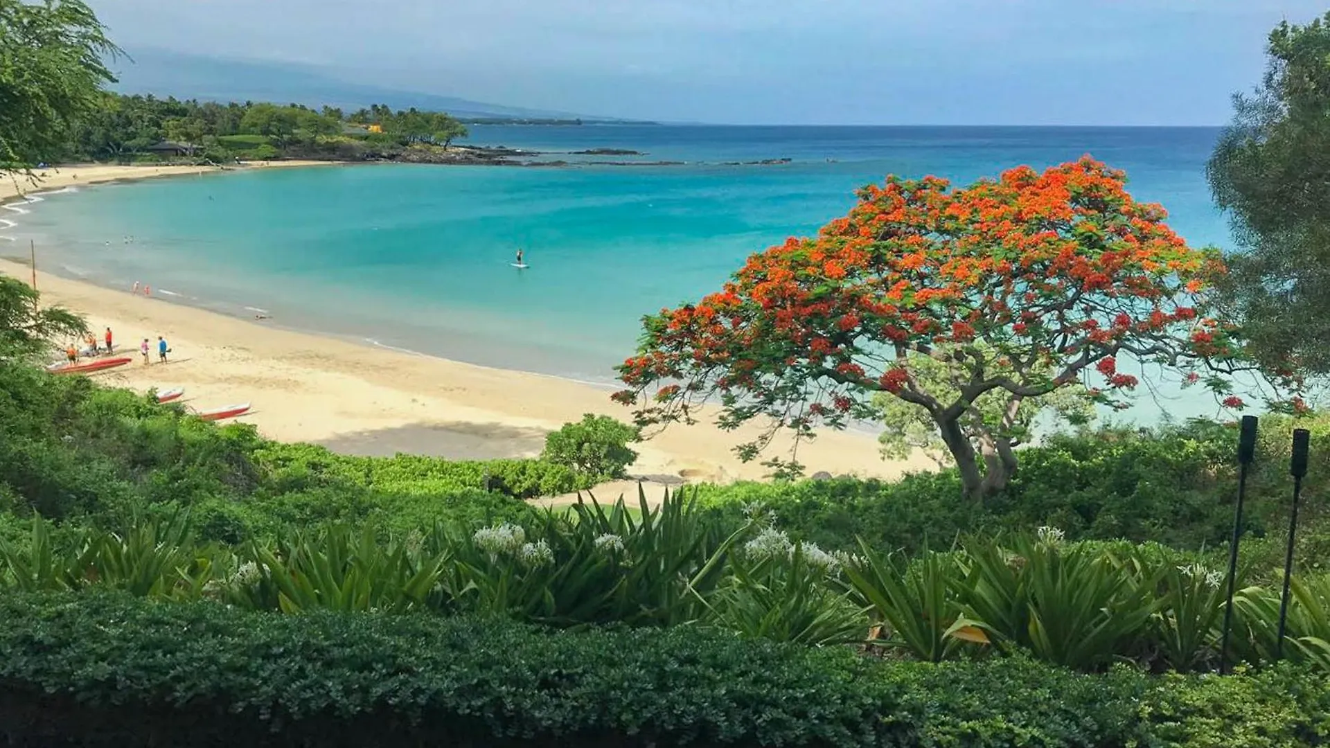 Beach Club Bliss Blissful Kamilo 3Br With Original Disney Art Near Pool Waikoloa Ηνωμένες Πολιτείες της Αμερικής