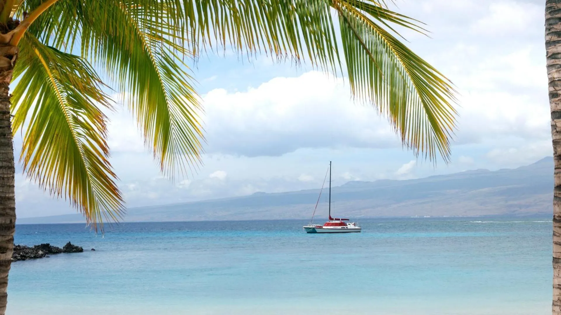 Σπίτι διακοπών Beach Club Bliss Blissful Kamilo 3Br With Original Disney Art Near Pool Waikoloa