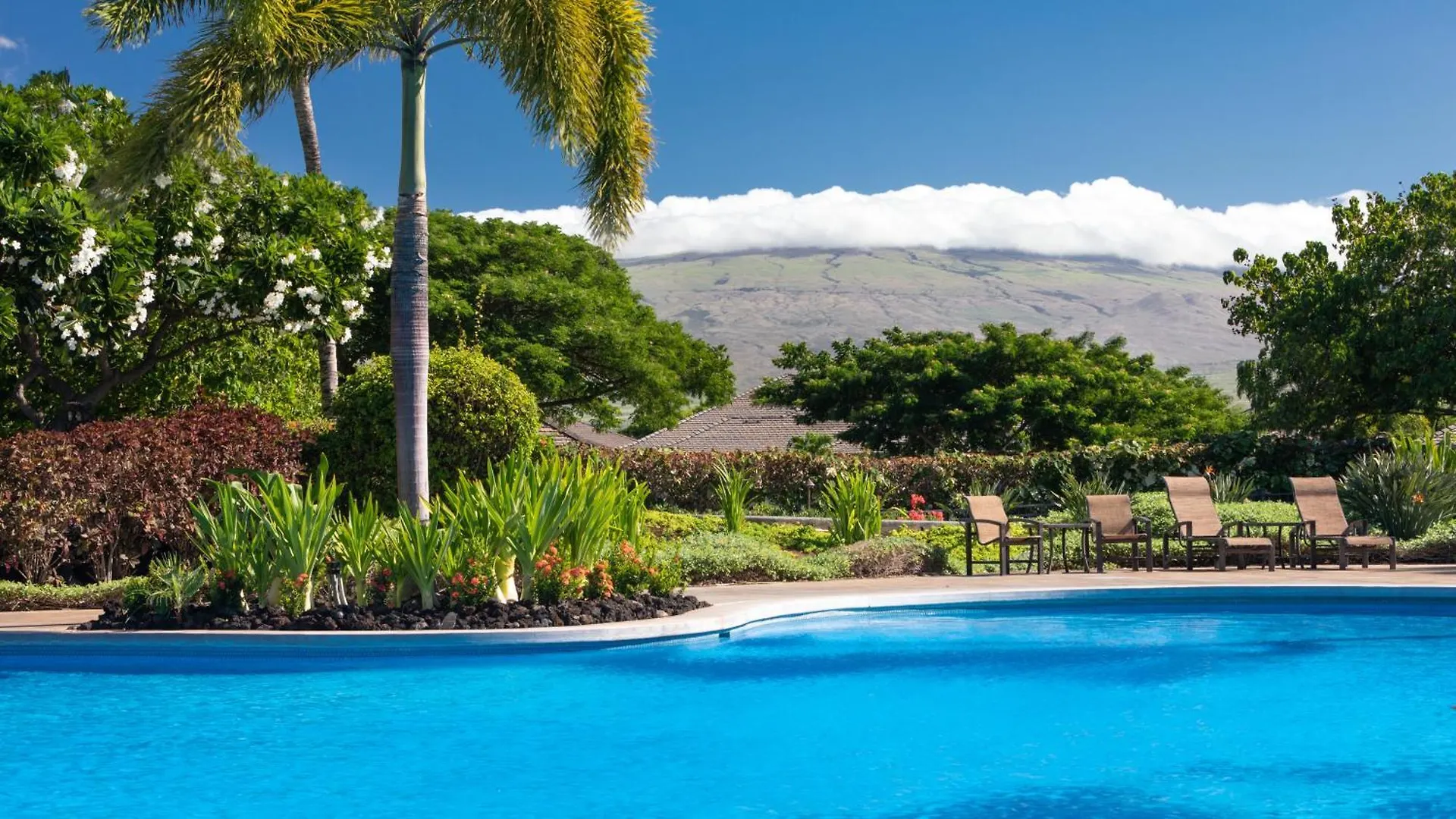 Beach Club Bliss Blissful Kamilo 3Br With Original Disney Art Near Pool Waikoloa Semesterbostad